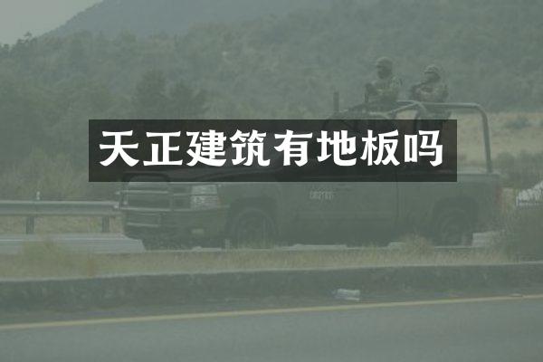 天正建筑有地板吗