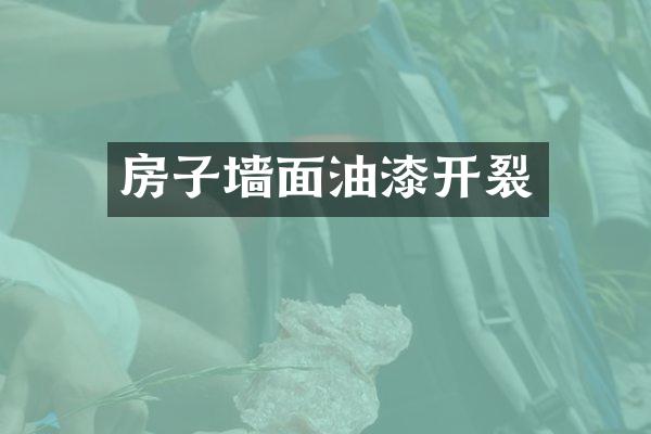 房子墙面油漆开裂