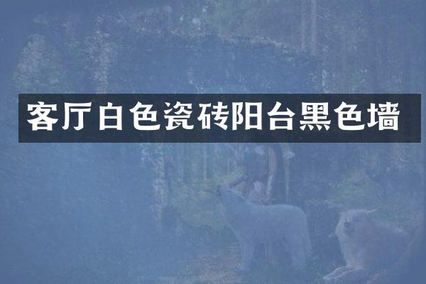 客厅白色瓷砖阳台黑色墙
