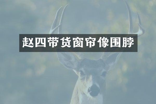 赵四带货窗帘像围脖