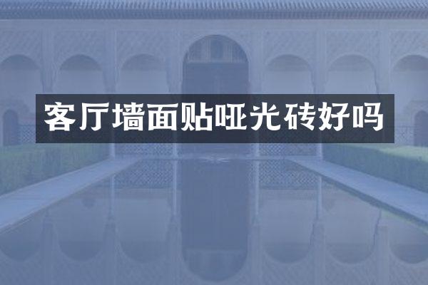 客厅墙面贴哑光砖好吗