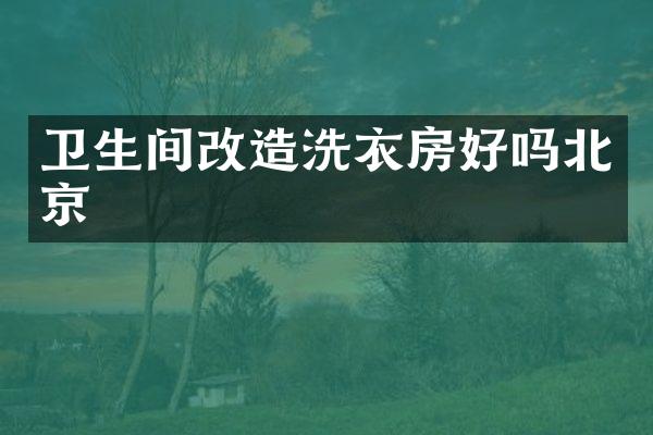 卫生间改造洗衣房好吗北京