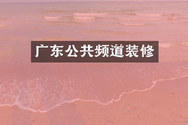 广东公共频道装修