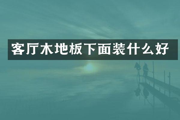 客厅木地板下面装什么好