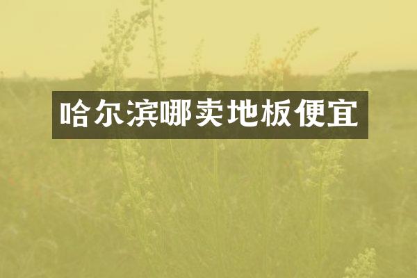 哈尔滨哪卖地板便宜