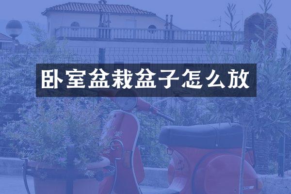 卧室盆栽盆子怎么放