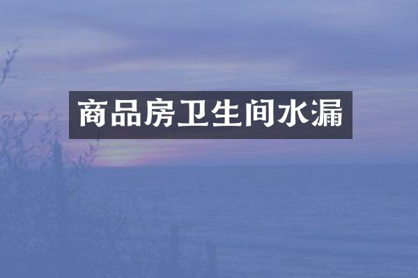商品房卫生间水漏