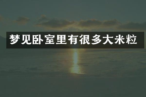 梦见卧室里有很多大米粒