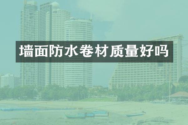 墙面防水卷材质量好吗