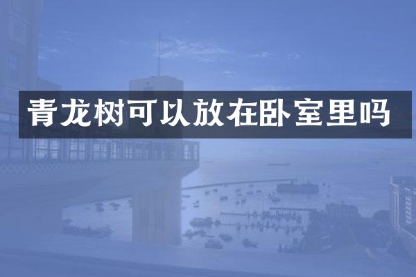 青龙树可以放在卧室里吗