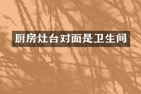 厨房灶台对面是卫生间