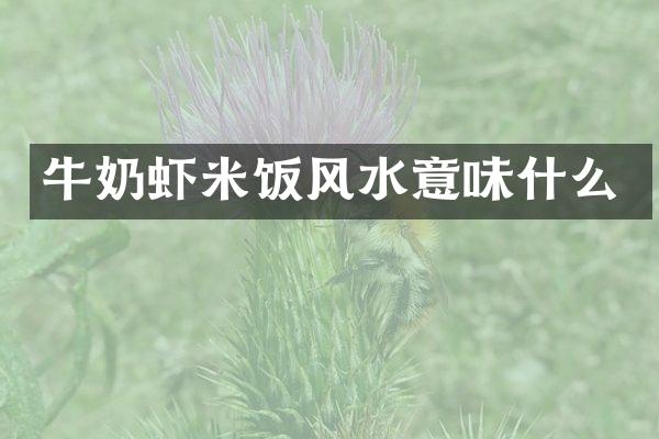 牛奶虾米饭风水意味什么