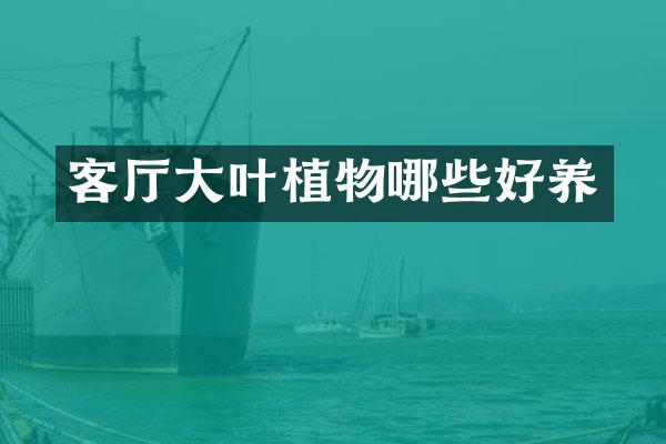 客厅大叶植物哪些好养