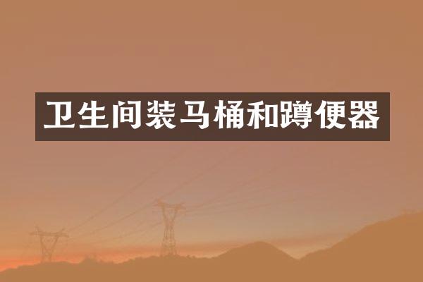 卫生间装马桶和蹲便器