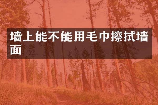 墙上能不能用毛巾擦拭墙面
