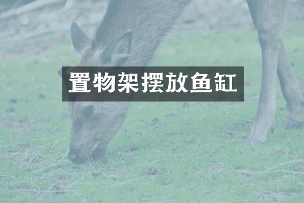 置物架摆放鱼缸