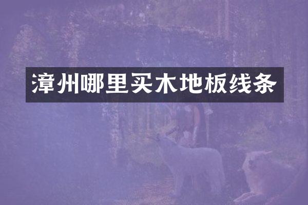 漳州哪里买木地板线条