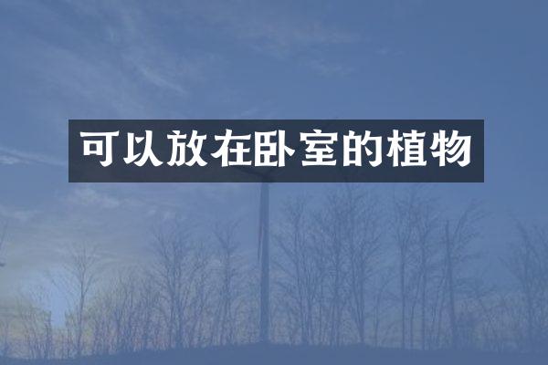 可以放在卧室的植物