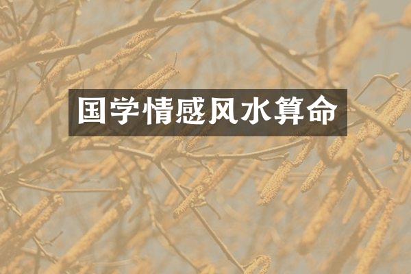 国学情感风水算命