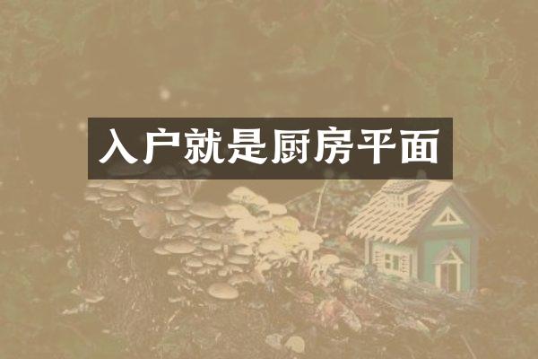 入户就是厨房平面