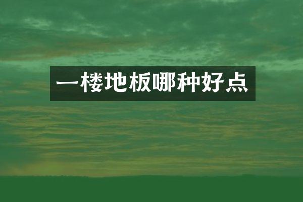 一楼地板哪种好点