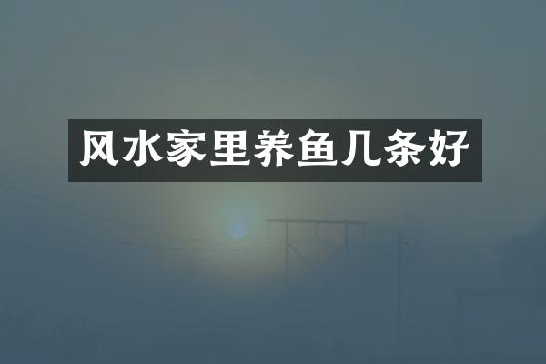 风水家里养鱼几条好