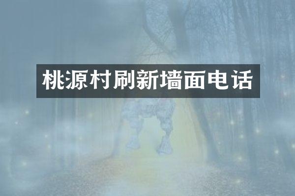 桃源村刷新墙面电话