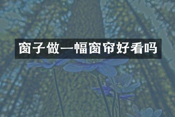 窗子做一幅窗帘好看吗