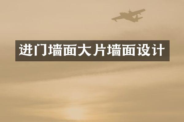 进门墙面大片墙面设计