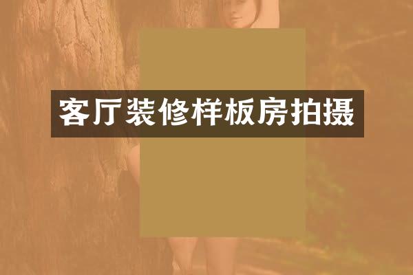 客厅装修样板房拍摄