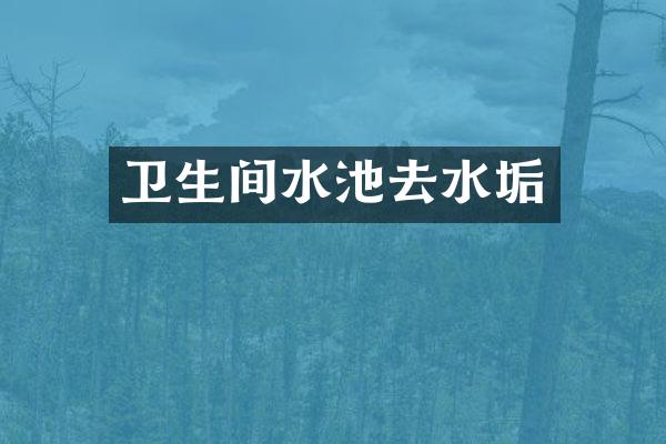 卫生间水池去水垢