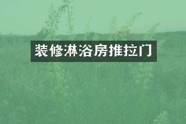 装修淋浴房推拉门