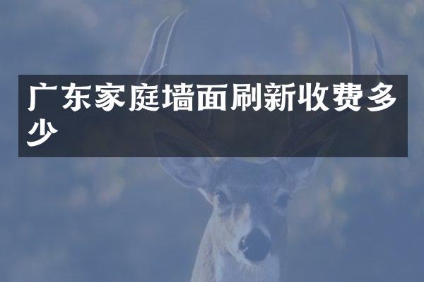 广东家庭墙面刷新收费多少
