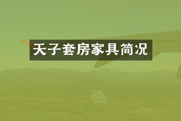 天子套房家具简况