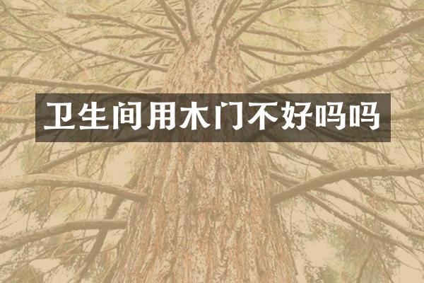 卫生间用木门不好吗吗