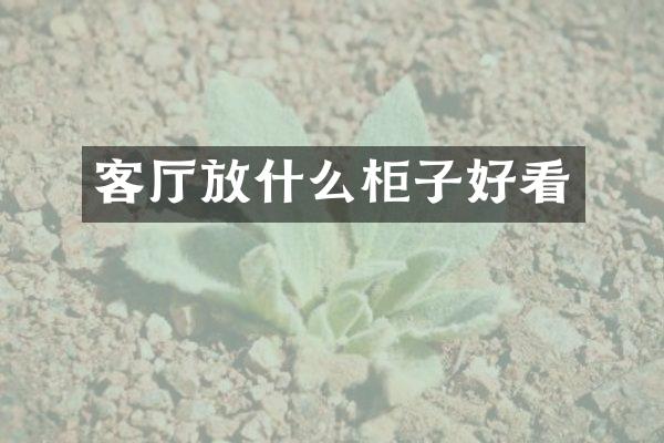 客厅放什么柜子好看