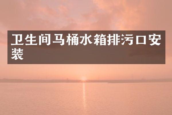 卫生间马桶水箱排污口安装