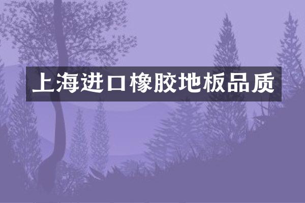 上海进口橡胶地板品质