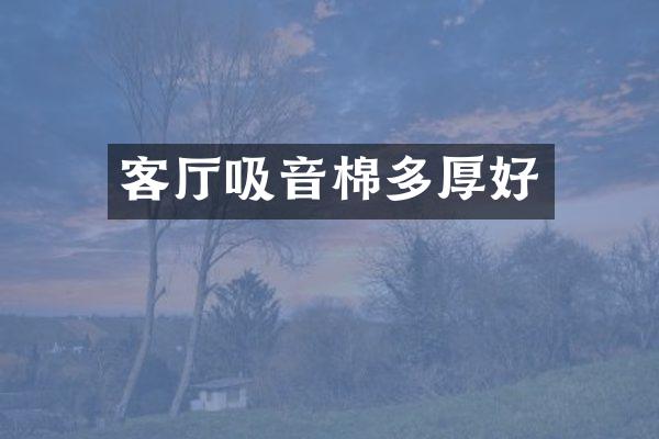 客厅吸音棉多厚好