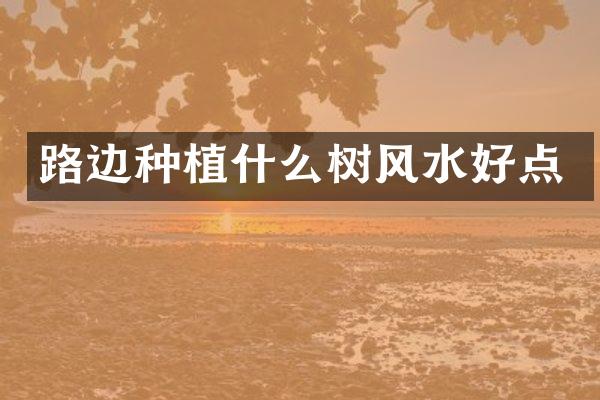 路边种植什么树风水好点