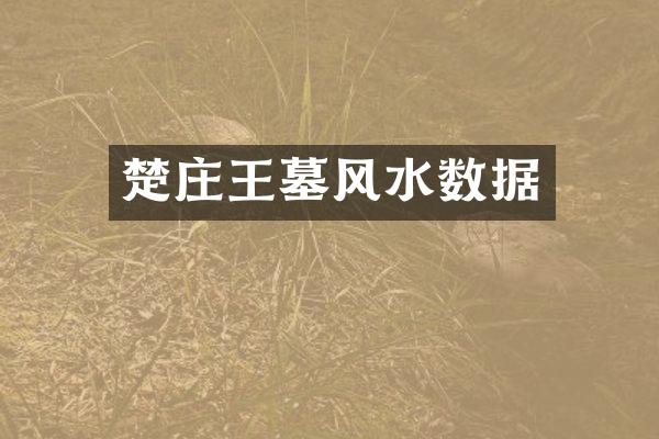 楚庄王墓风水数据