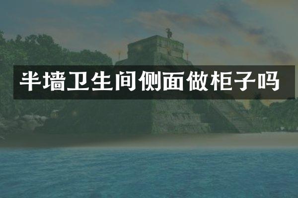 半墙卫生间侧面做柜子吗