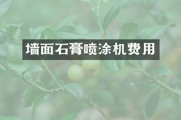 墙面石膏喷涂机费用