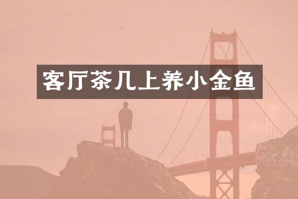 客厅茶几上养小金鱼