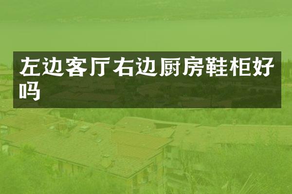左边客厅右边厨房鞋柜好吗