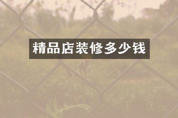 精品店装修多少钱