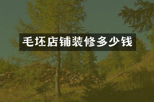 毛坯店铺装修多少钱