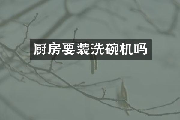厨房要装洗碗机吗