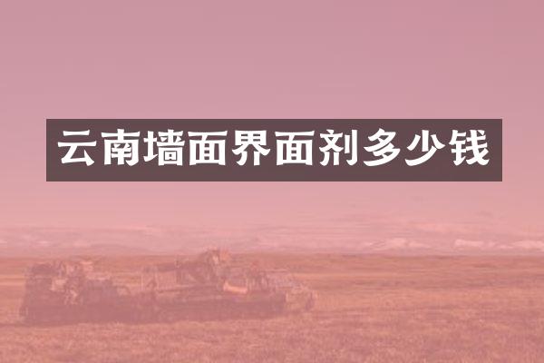 云南墙面界面剂多少钱