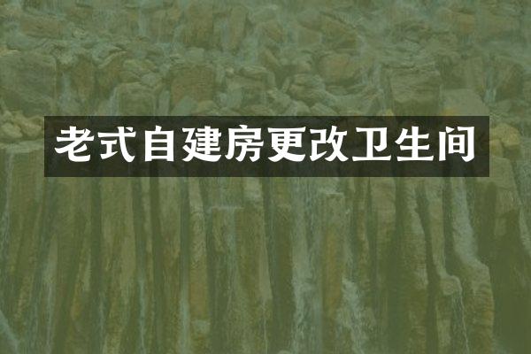老式自建房更改卫生间